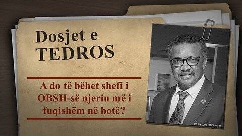 Dosjet e Tedros - Albanisch