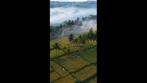 A magical morning in Bali