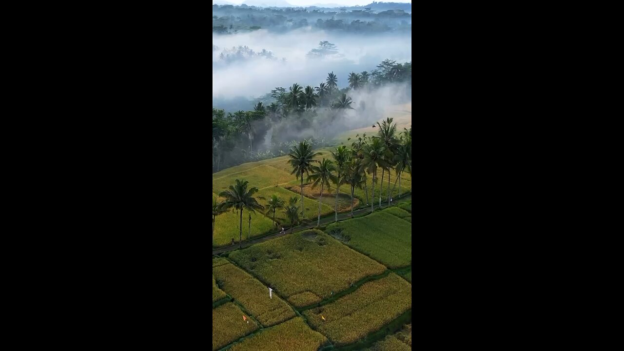 A magical morning in Bali