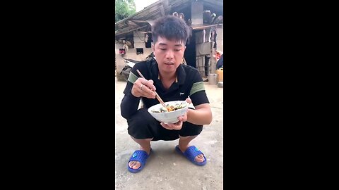 funny videos