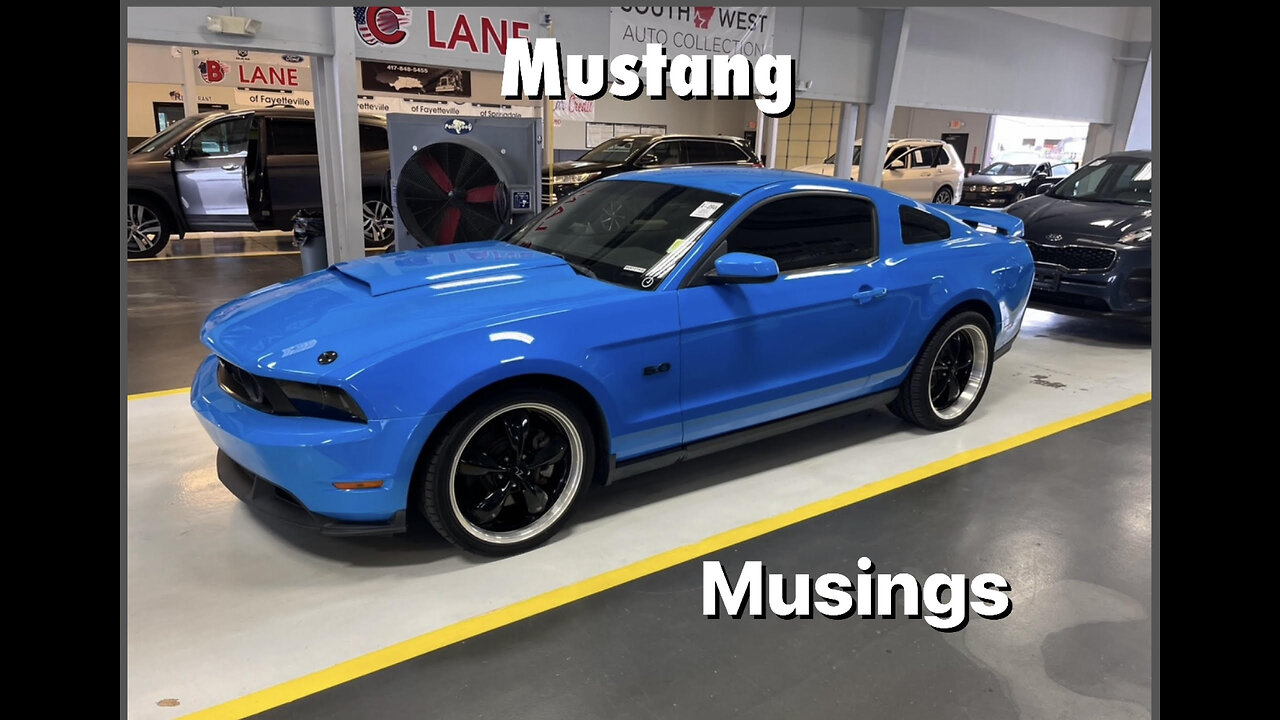 Mustang Musings! Dealer auction walk around 09-23-2024