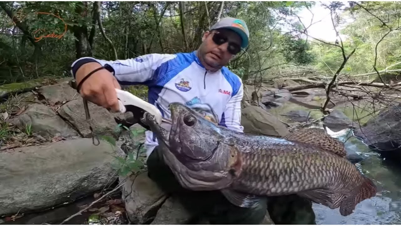 OS 10 MELHORES PEIXES CAPTURADOS ?! PEIXES 2021...Pescaria