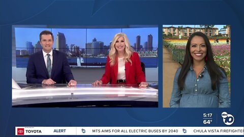 ABC 10News PinPoint Weather With Meteorologist Angelica Campos