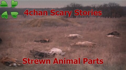 4Chan Scary Stories :: Strewn Animal Parts