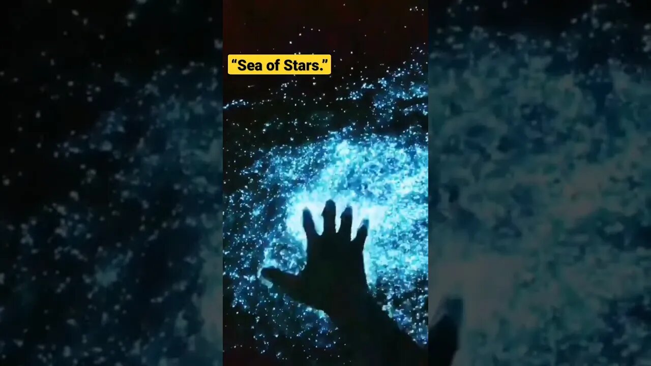 “Sea of Stars.😍😍#shortvideo #trending #neturalvideo #beach