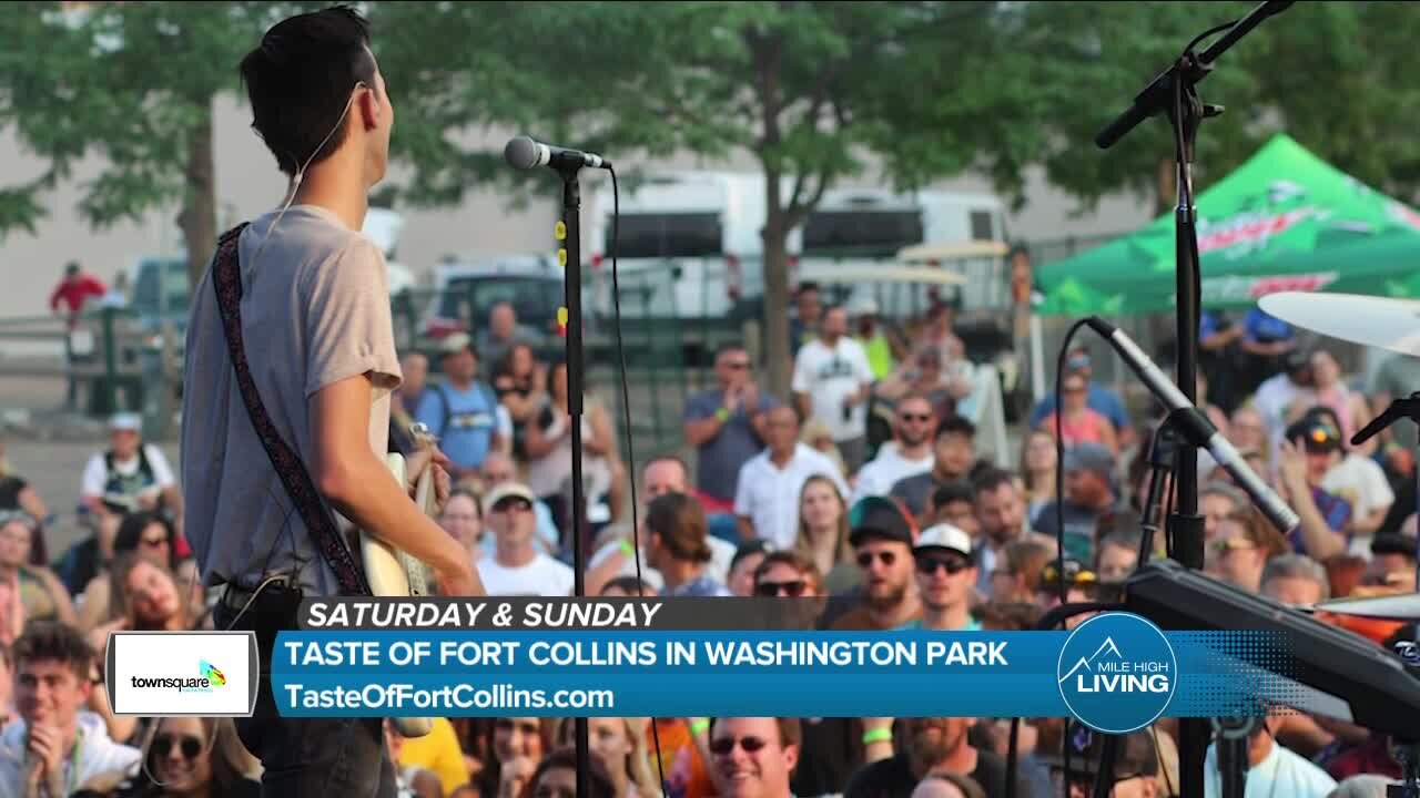 Fun In Old Town Fort Collins! // Taste Of Fort Collins