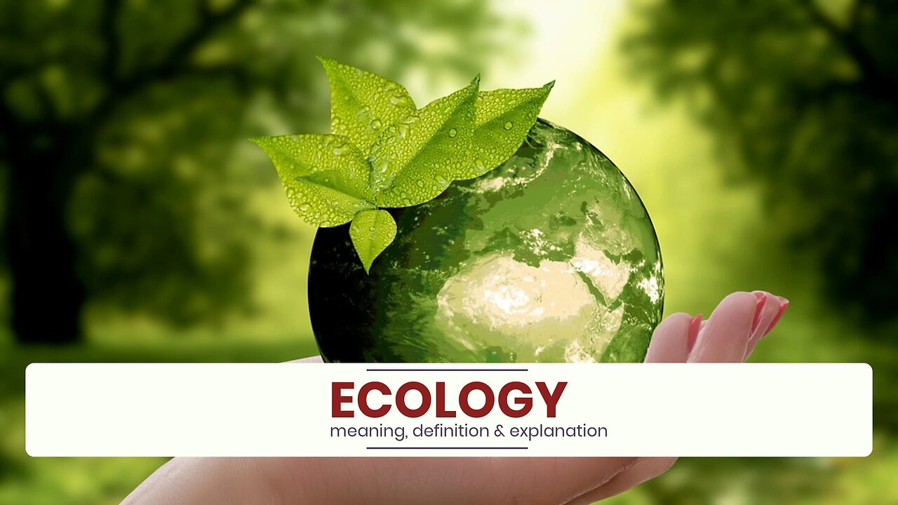 What is ECOLOGY?