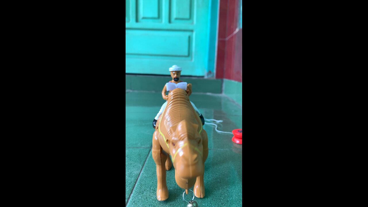 Camel toys