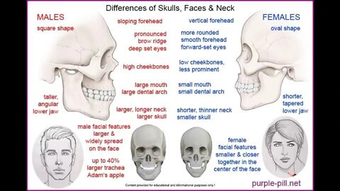 DIFFERENCES BETWEEN MAN AND WOMAN. FLYNN.CHEMTRAIL! DUPONT! CLONING HAS BEEN STOPPED!