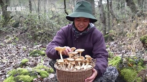 Yunnan people are currently obsessed with one thing: mushroom foraging in the mountains…【滇西小哥】