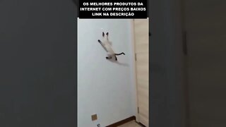 o gato do Miranha 😮😮