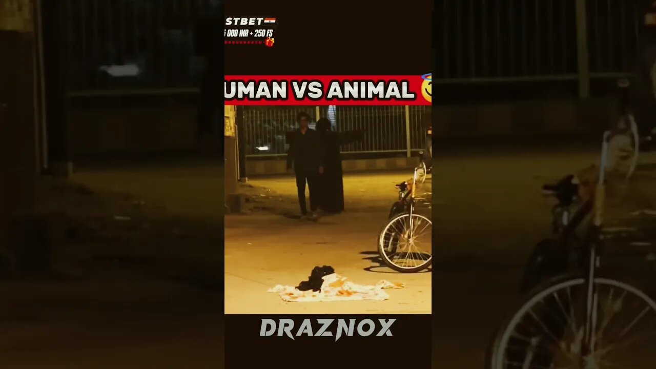 hanuman vs animal😱