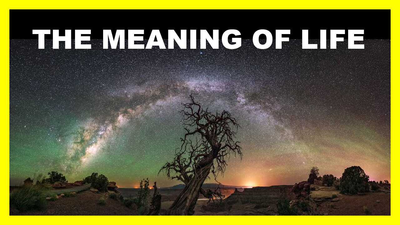 THE MEANING OF LIFE IS...