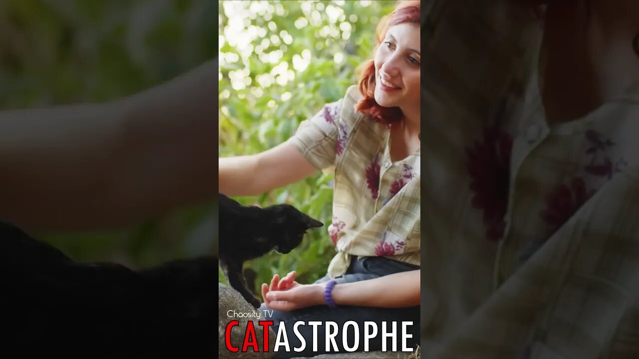😼 #CATASTROPHE - Outdoor Cat 🐈