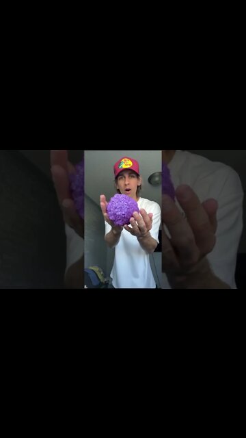 #shorts #2022 funny,prank,funjokes,dad jokes,funny memes,funny video,fun,laughing,funny animal,knock