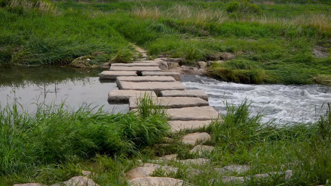 Rainfall over stepping stones in a river in Japan, calming sounds of nature to help you sleep better