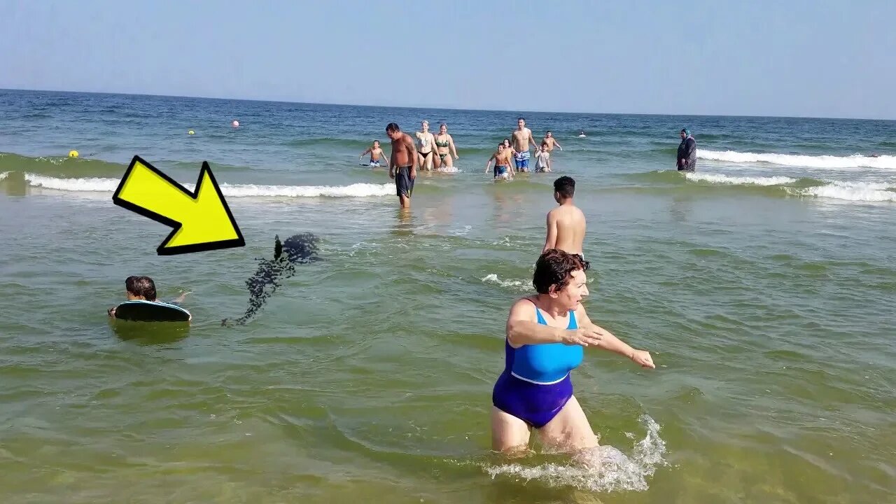 When a shark attacks....and it's funny!