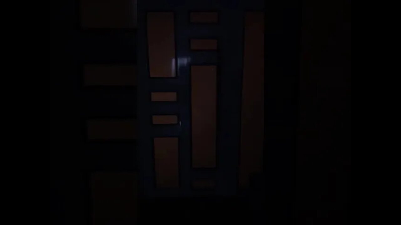 Fauna De Puerto Rico Video De Musielagos Grabado desde dentro del hogar.