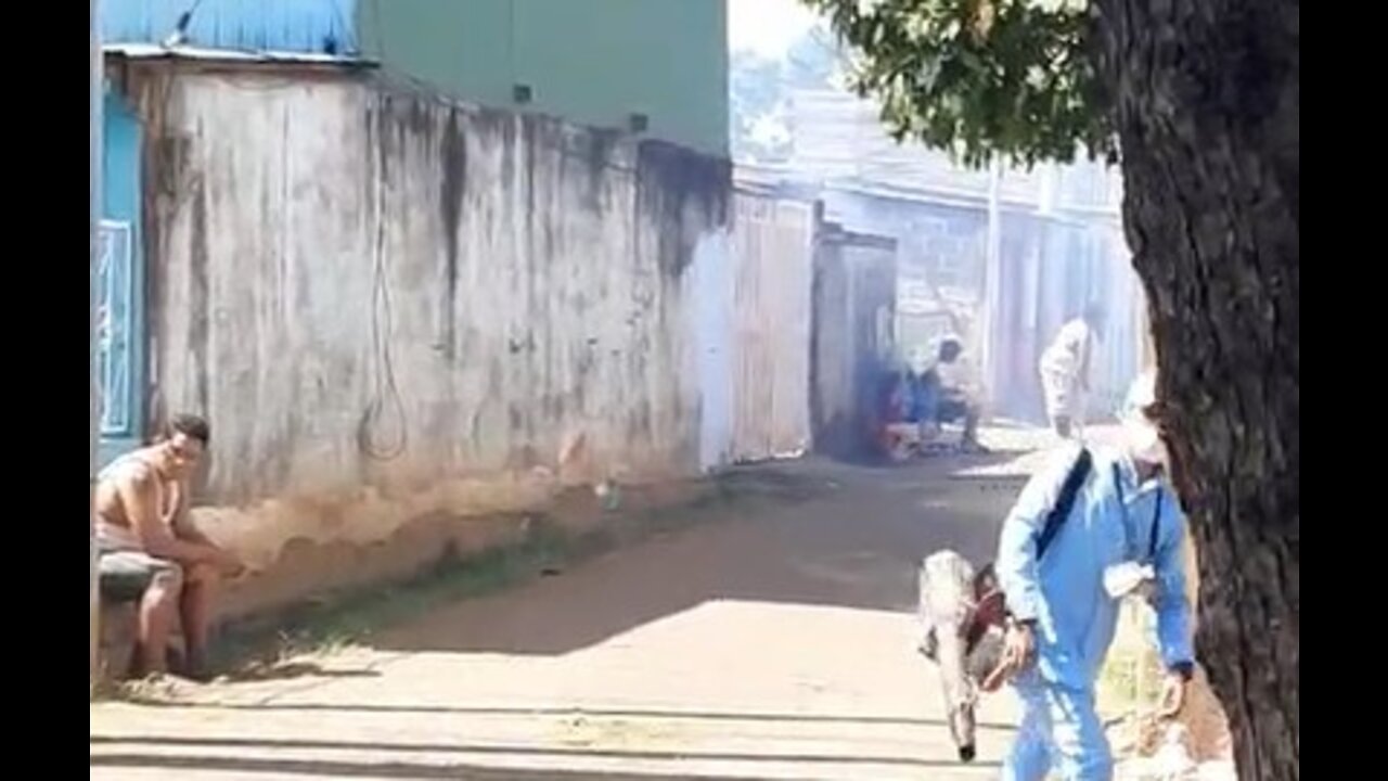 No F given - just another day fumigating in Nicaragua