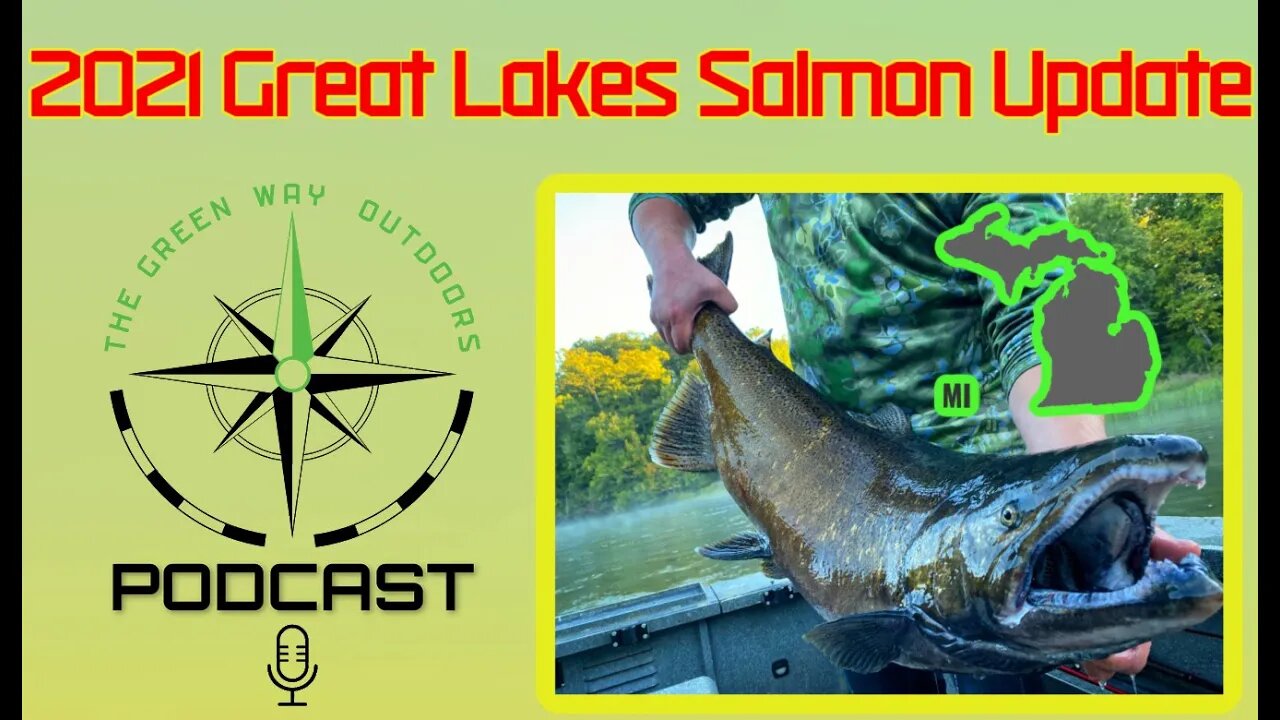 Michigan Great Lakes King Salmon Update - The Green Way Outdoors Podcast Clips