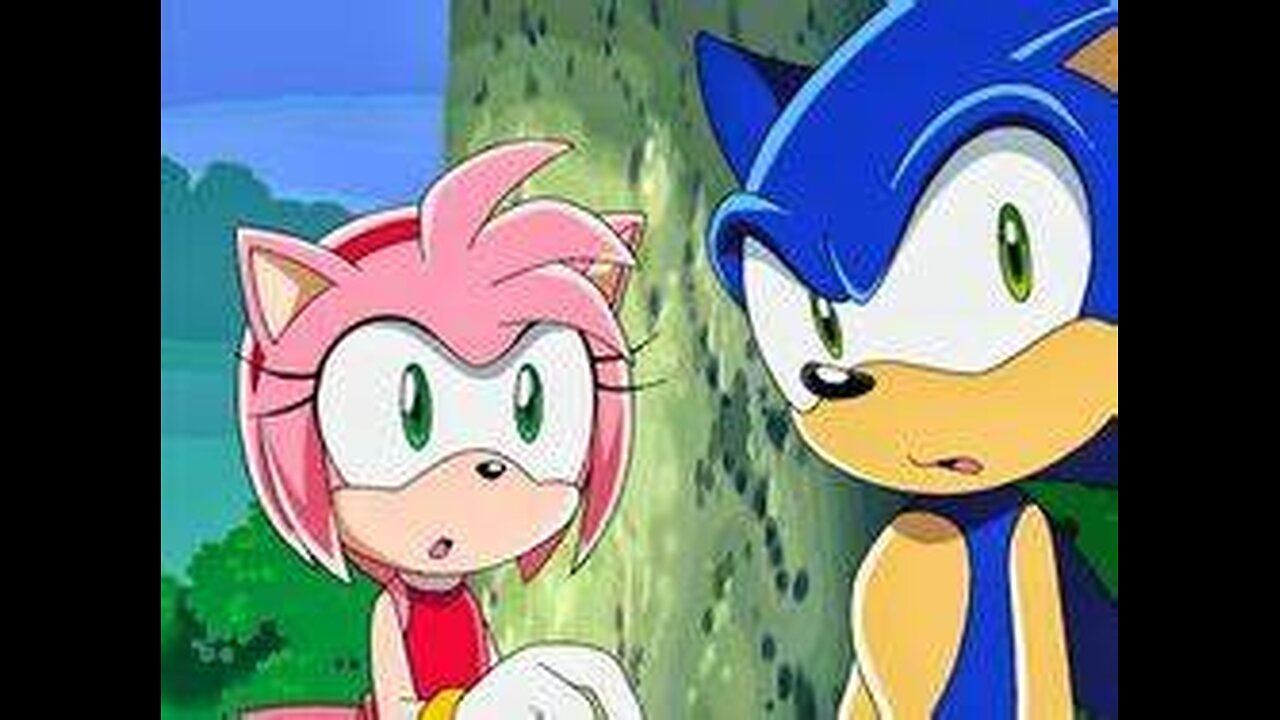 SONAMY SONIC PLUS AMY ROAR