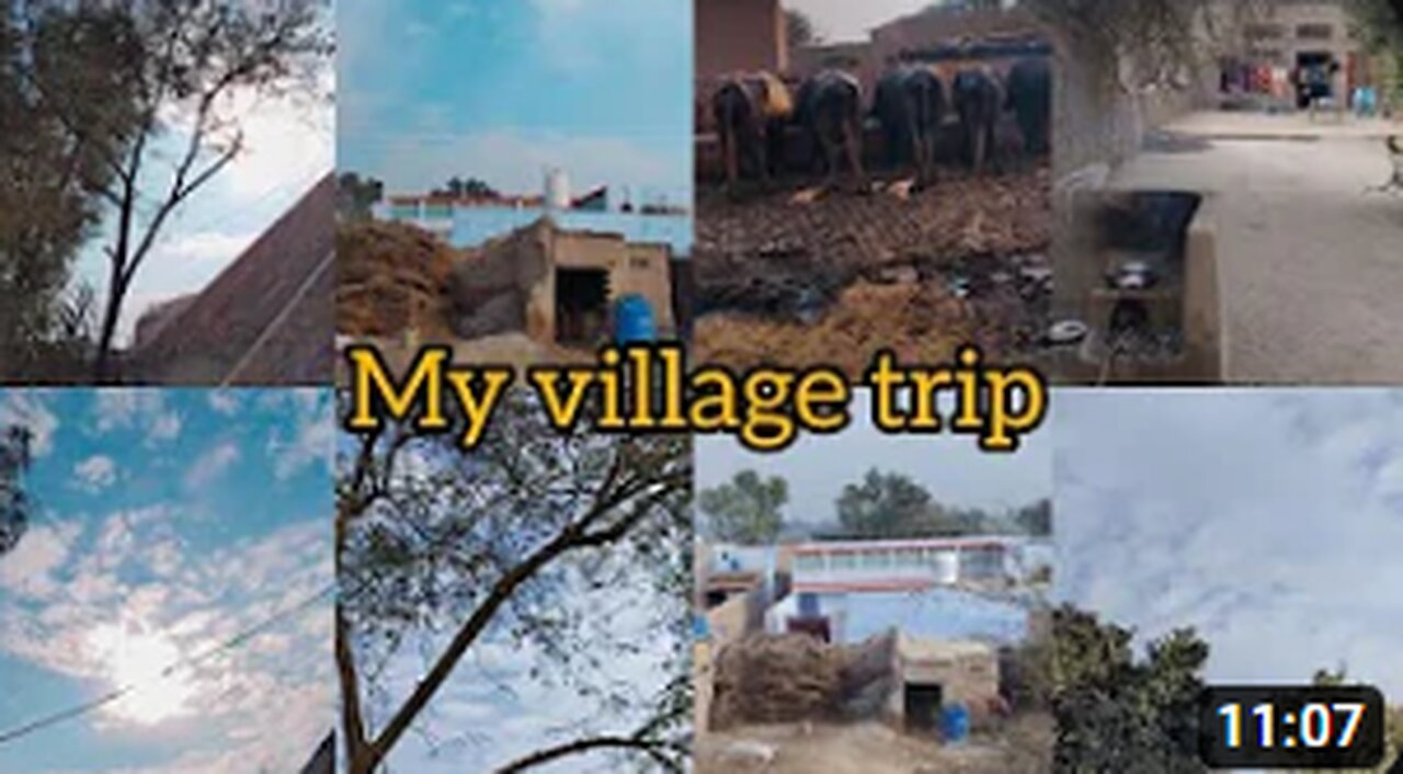 Village VLOG ❤️| A Day In Village | LIFE WITH MARYAM #village #vlog#rumble#daily life
