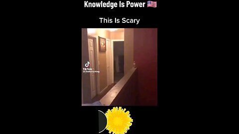 Cern Has Been Opening Up Portals Where People Are Starting To See Things There not Suppose To See
