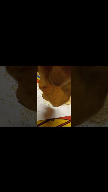 WHAT GLUE CAN DO TO WHITE ON WHITE