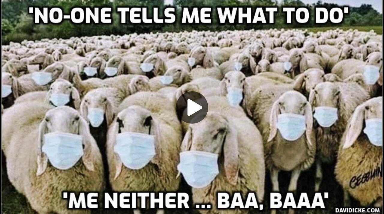 Secret Letter To The CDC - David Icke