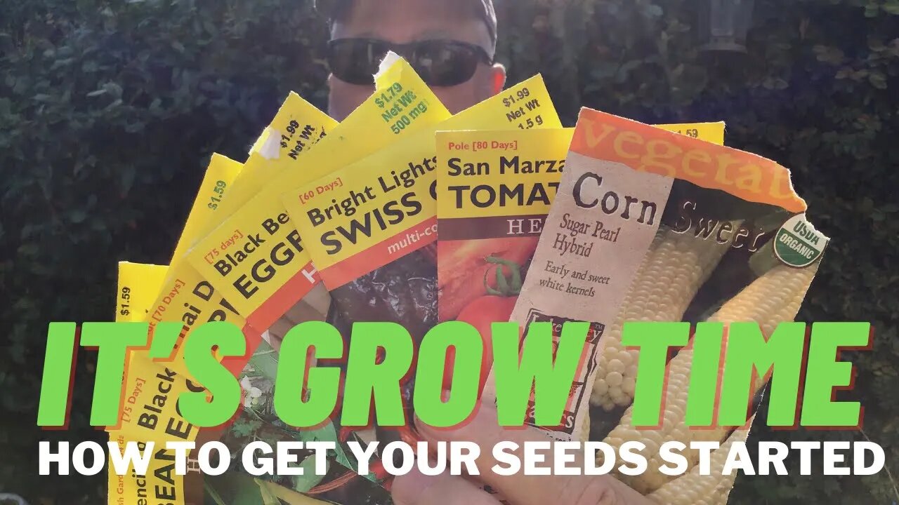 Growing vegetables from seed as easy as 1-2-3