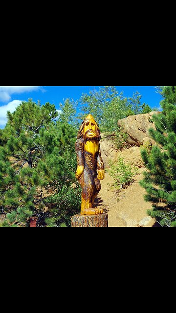 Could it be Sam Squatch????