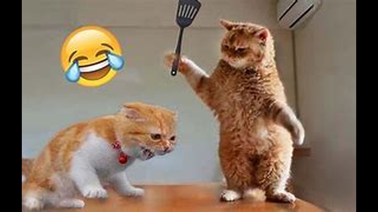 Funniest Animals 2023 😂 New Funny Cats and Dogs Videos 😻🐶 Part 1