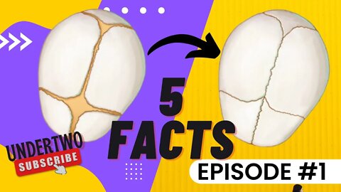 5 Most Interesting #Facts You Didn't Know - EP1