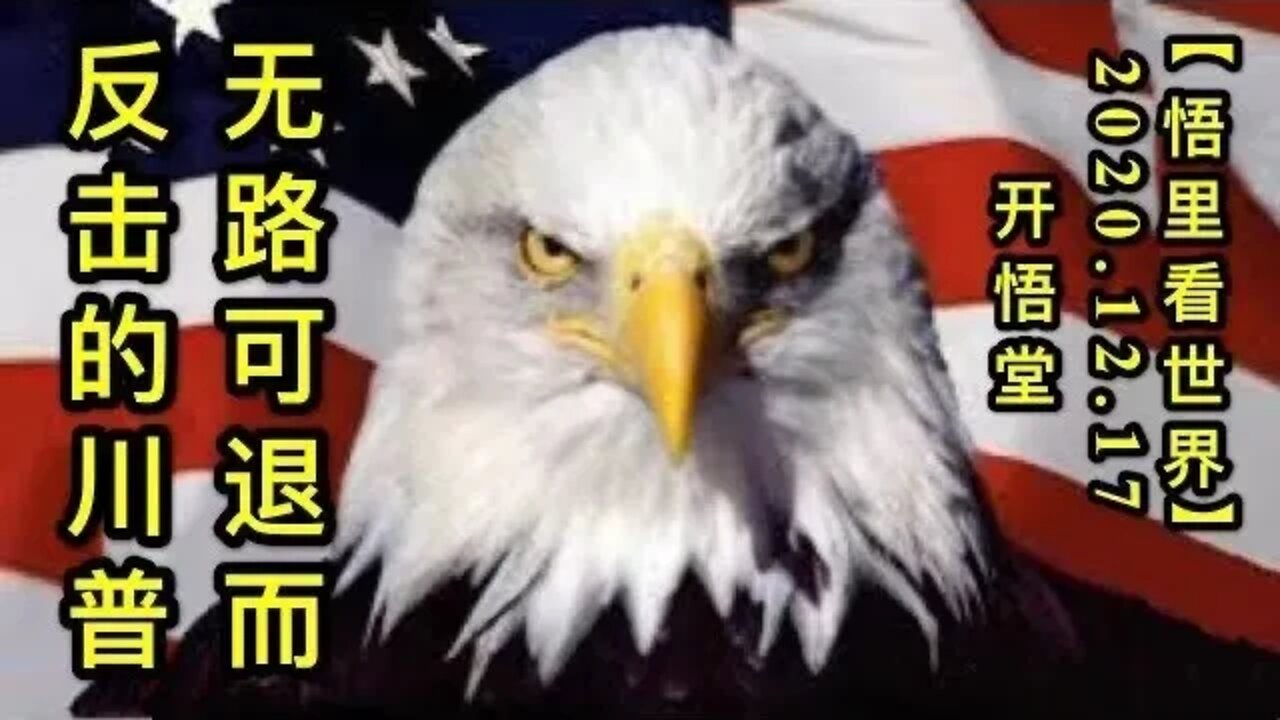 无路可退而反击的川普【悟里看世界】KWT545 201217-07 wlktefjdcp