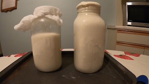 Sourdough starter escapes from jar