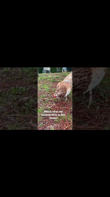 She slurped it down whole! 😱 #shorts