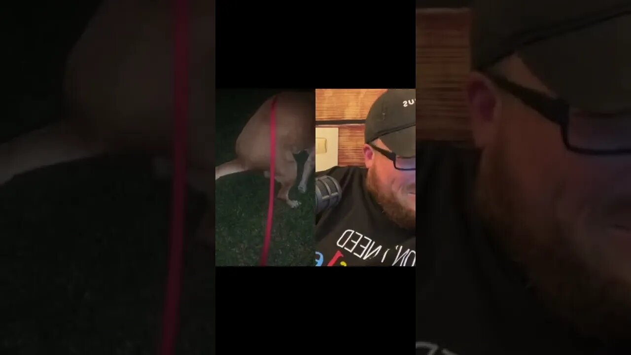 Here’s Your Dose Of REALarious…🤣🤣🤣