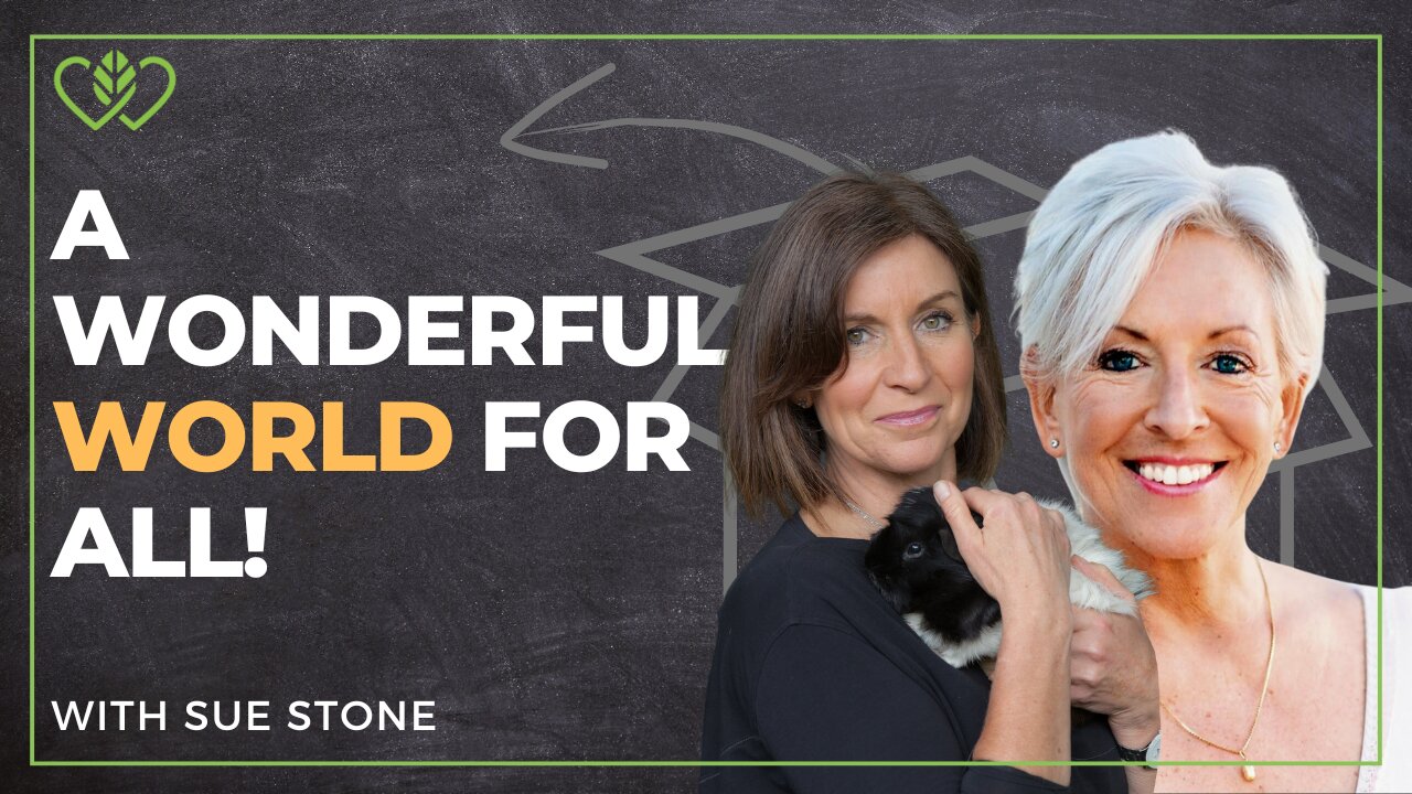 Creating a Wonderful World: Sue Stone’s Secrets to Positivity & Transformation | CatherineEdwards.life