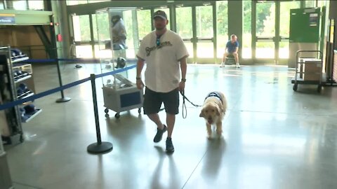 Brewers help donate service dog to Army veteran with PTSD