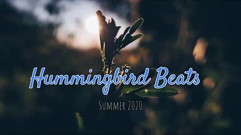 HIP HOP BEATS 🍃 Instrumental Regard by Unwritten Stories🤍 (No Copyright Music)
