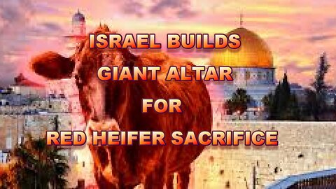 IT'S READY! ISRAEL BUILDS GIANT ALTAR FOR RED HEIFER SACRIFICE