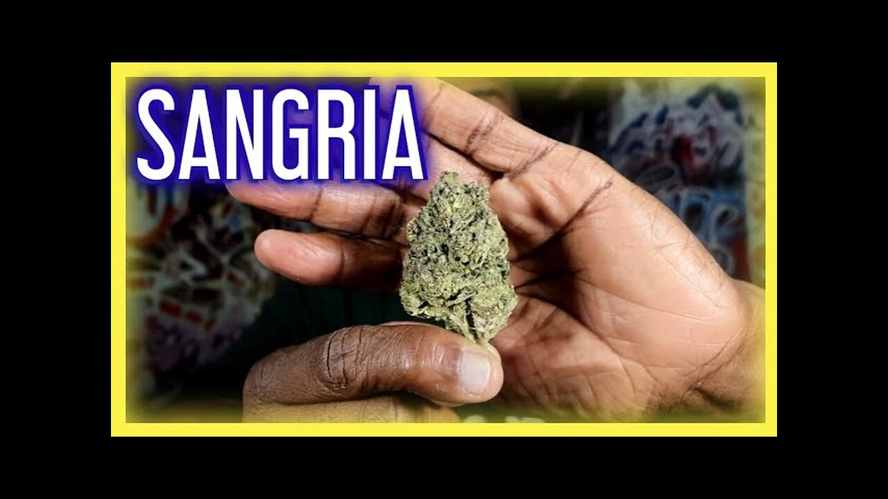 take a sip of SANGRIA (DR GANJA)