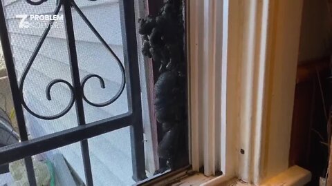 7 Problem Solvers gets answers for Buffalo woman overcharged by pest control company