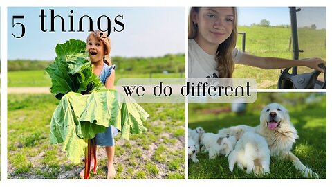 These 5 Things Have Made a Huge Impact in our Lives