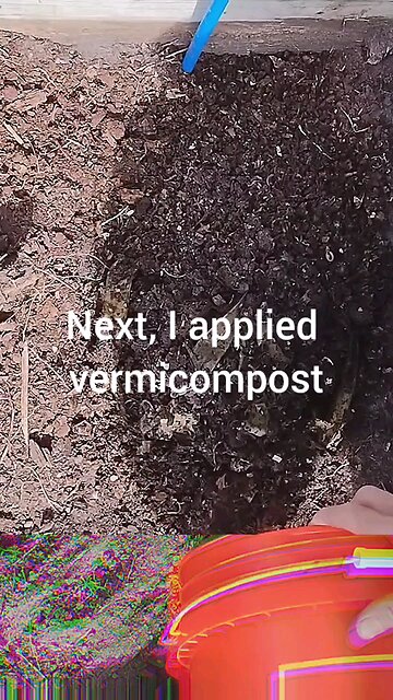 Preparing My Raised Bed