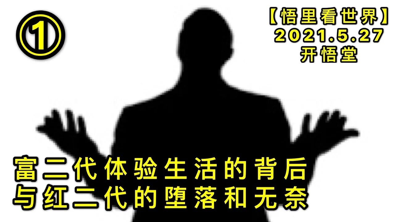 KWT1800(1)富二代体验生活的背后与红二代的堕落和无奈20210527-8【悟里看世界】