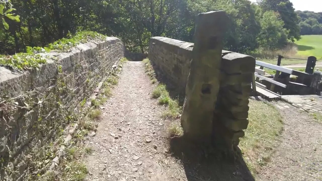 Walking in the Woods