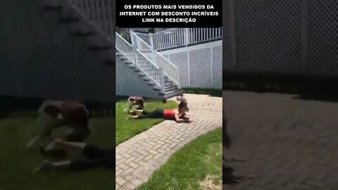 ESSE CACHORRO NÃO GOSTA MUITO DELA