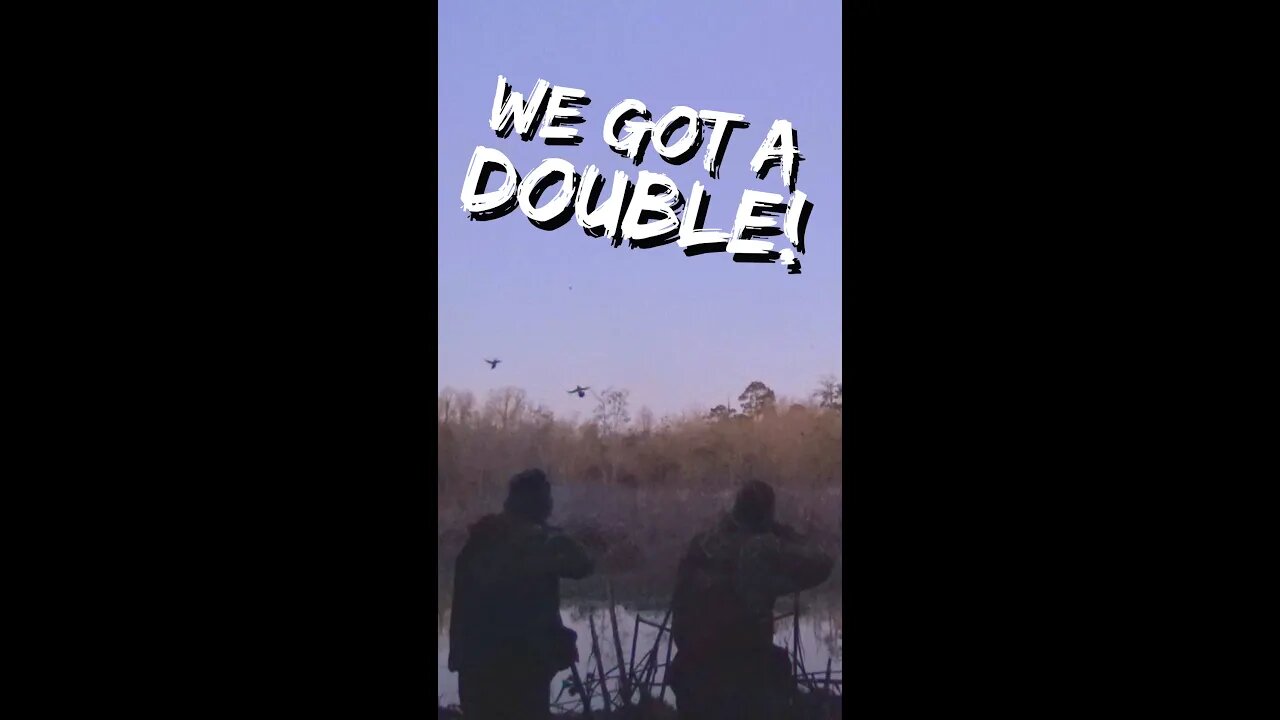 Awesome Duck Hunt in SE Georgia #Shorts