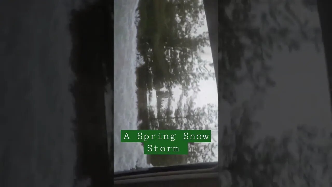 A Freak Spring Snow Storm! #shortvideo #shorts